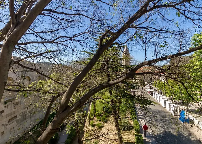 Pellegrini Luxury Split