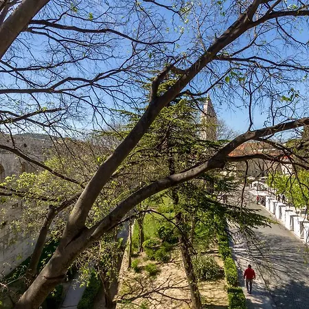 Pellegrini Luxury Split