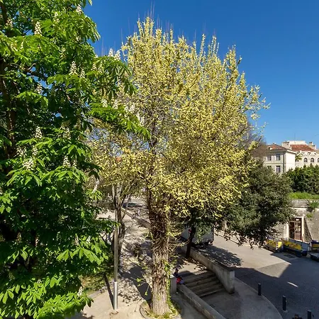 Guest house Pellegrini Luxury 4*