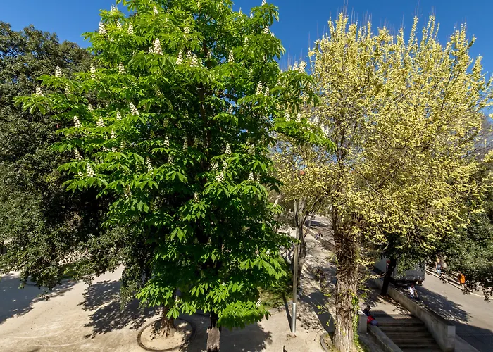 Pellegrini Luxury 4* Split